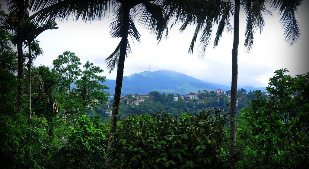 Knight'S Heaven Apartment Kandy Luaran gambar