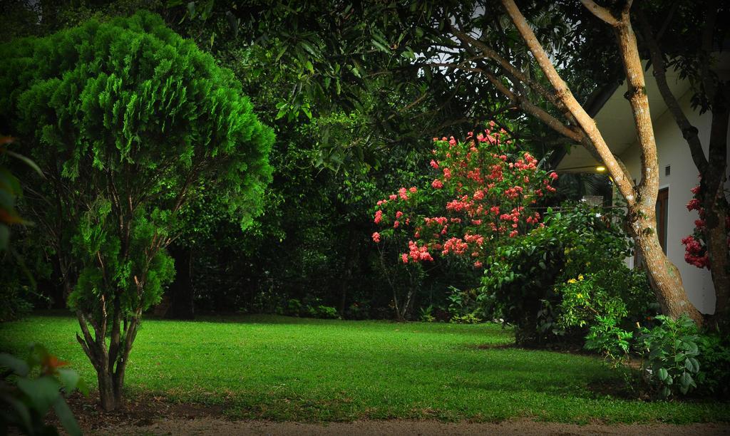 Knight'S Heaven Apartment Kandy Luaran gambar