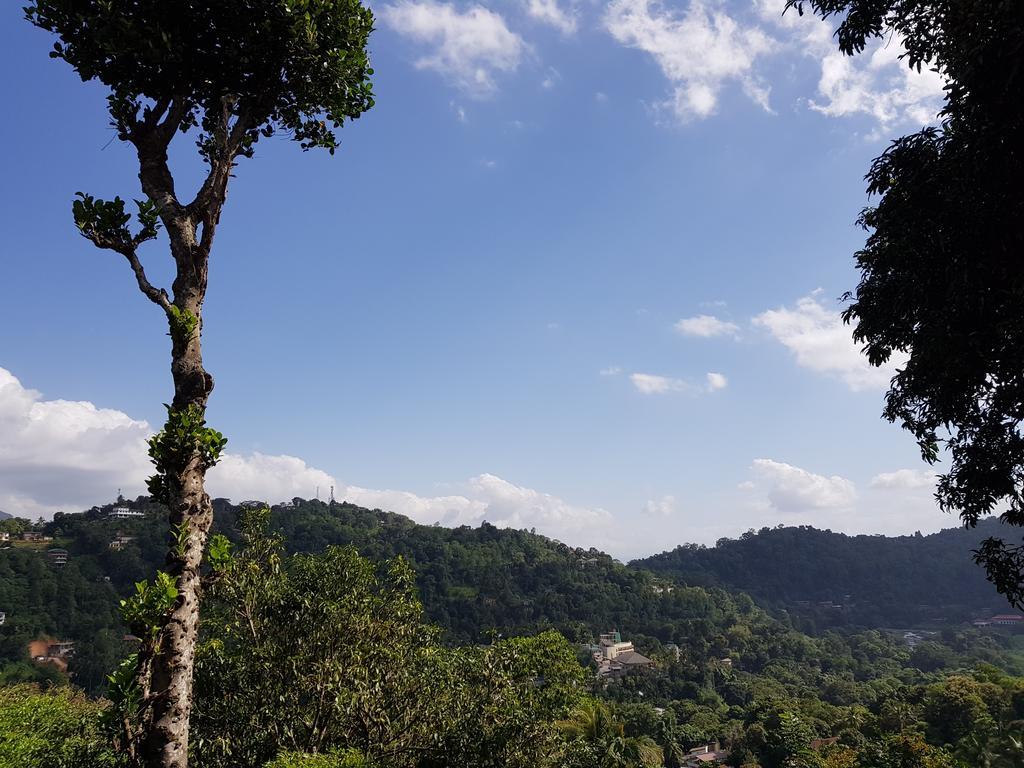 Knight'S Heaven Apartment Kandy Luaran gambar